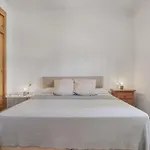 Mi Rincon Favorito Conil De La Frontera