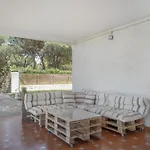 Mi Rincon Favorito Villa *